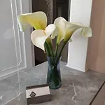Ros Mary فندق ريباديو